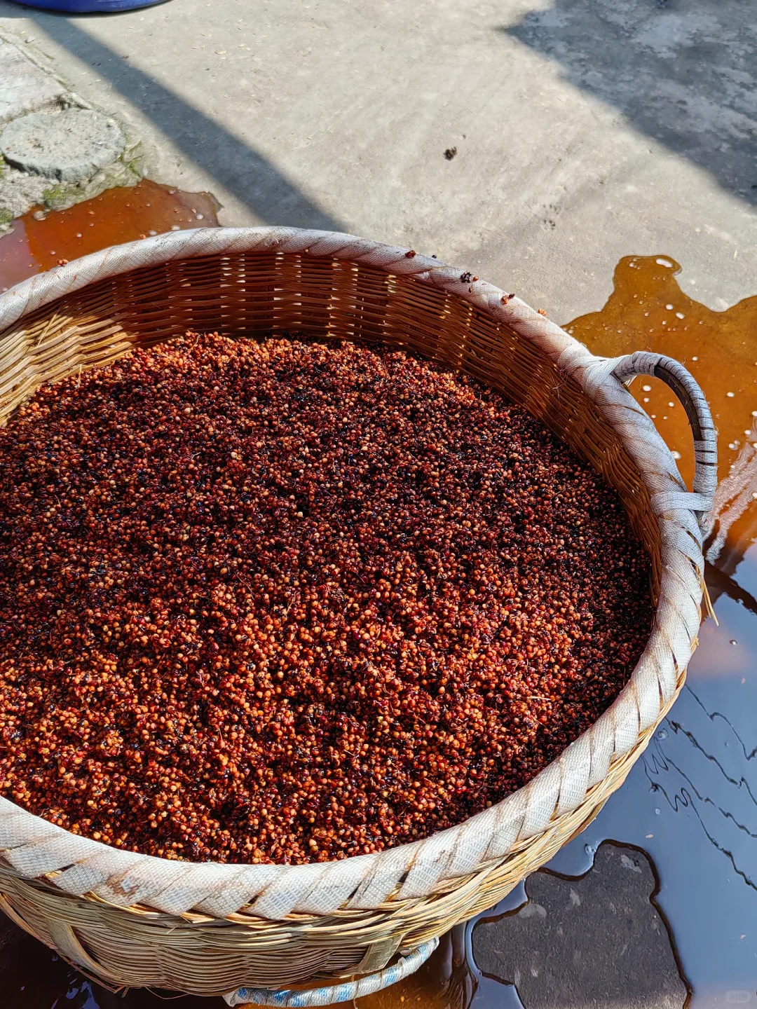 第一次全过程记录家乡的天然手工酿造高粱酒