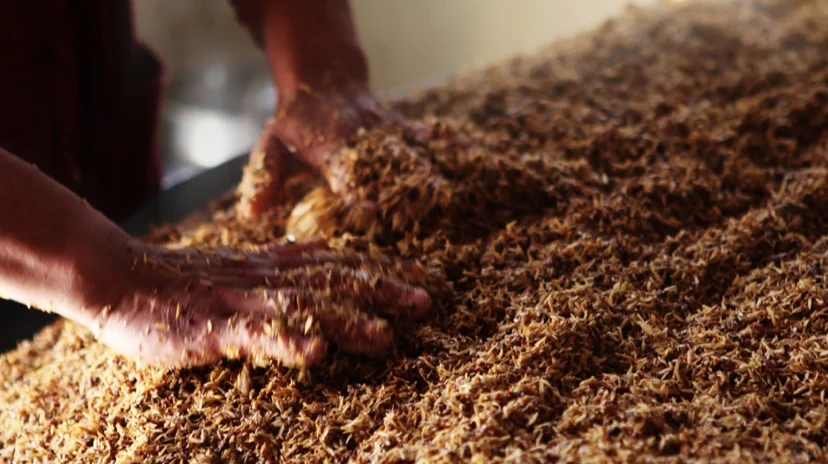 叮~白酒小知识:大曲小曲,傻傻分不清楚