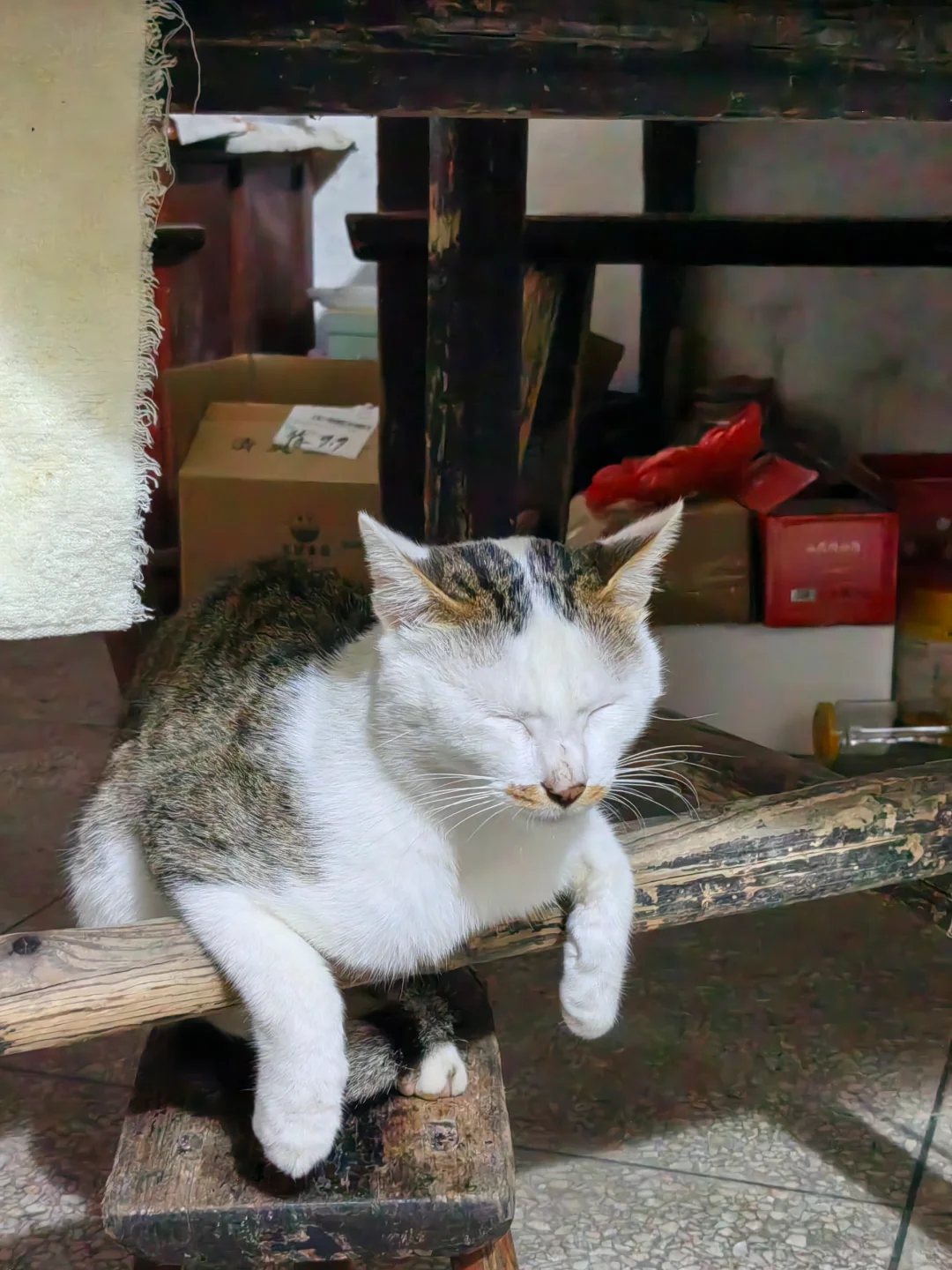 第一次全过程记录家乡的天然手工酿造高粱酒