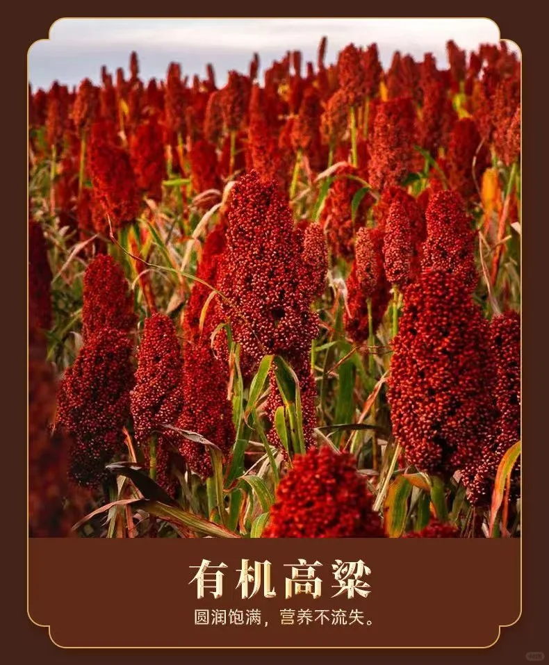 懂酒之人—对“中初有机白酒”一见倾心！