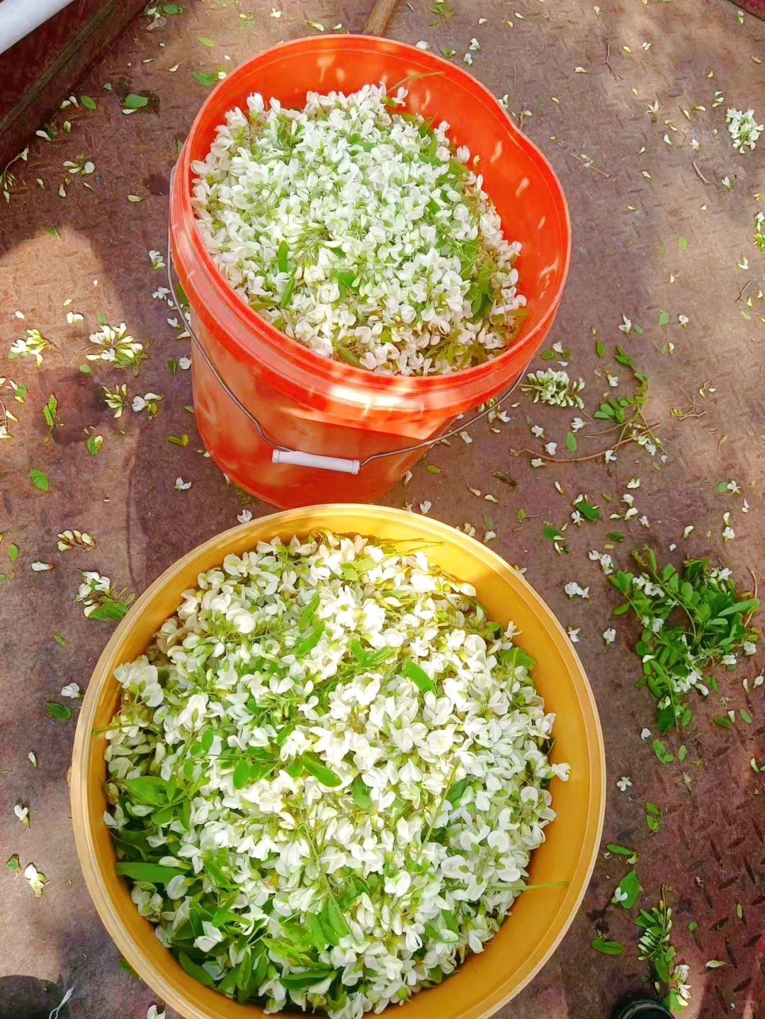 农家自酿纯粮白酒，固态发酵传统工艺