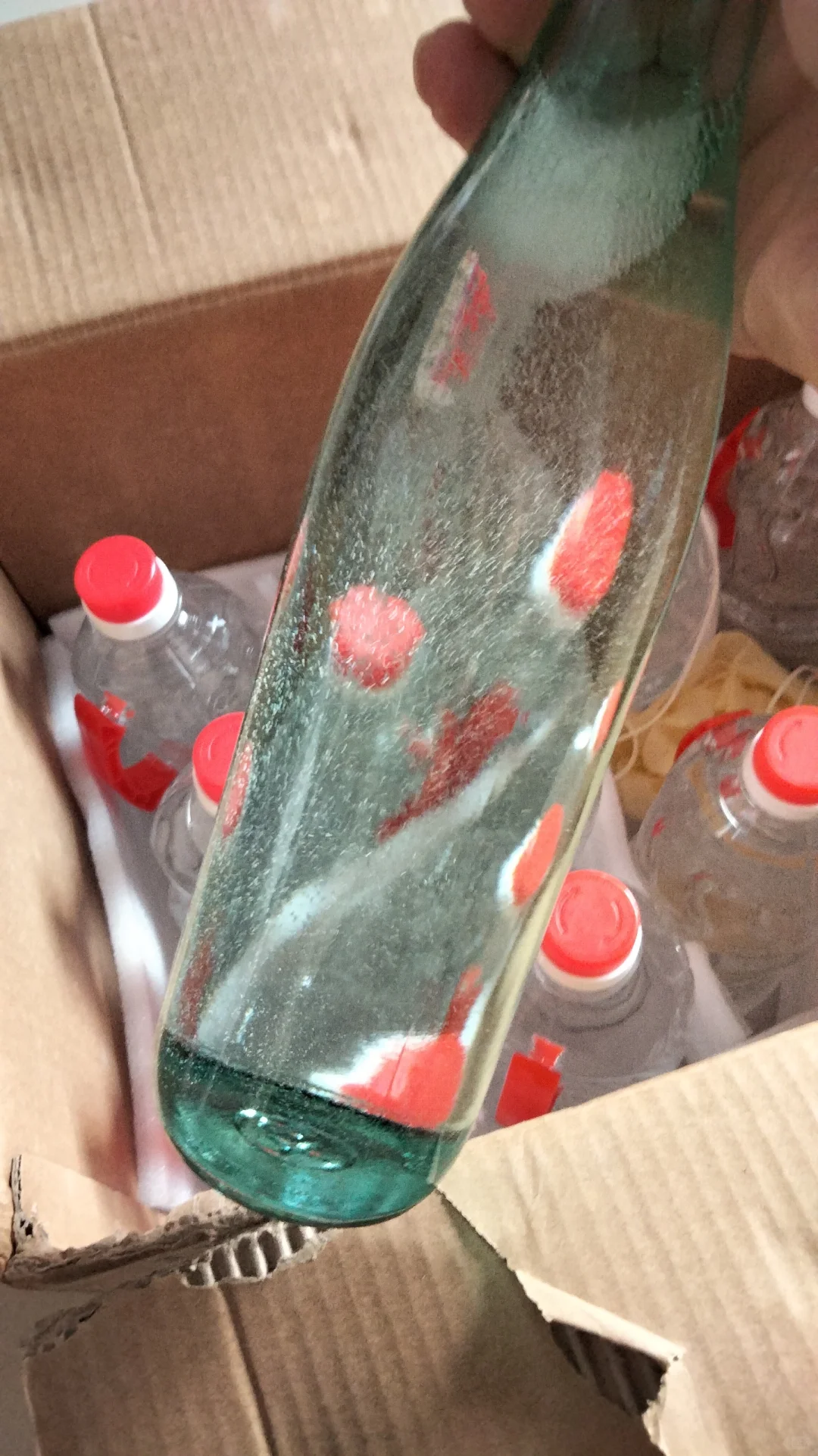 洋河纯粮光瓶酒