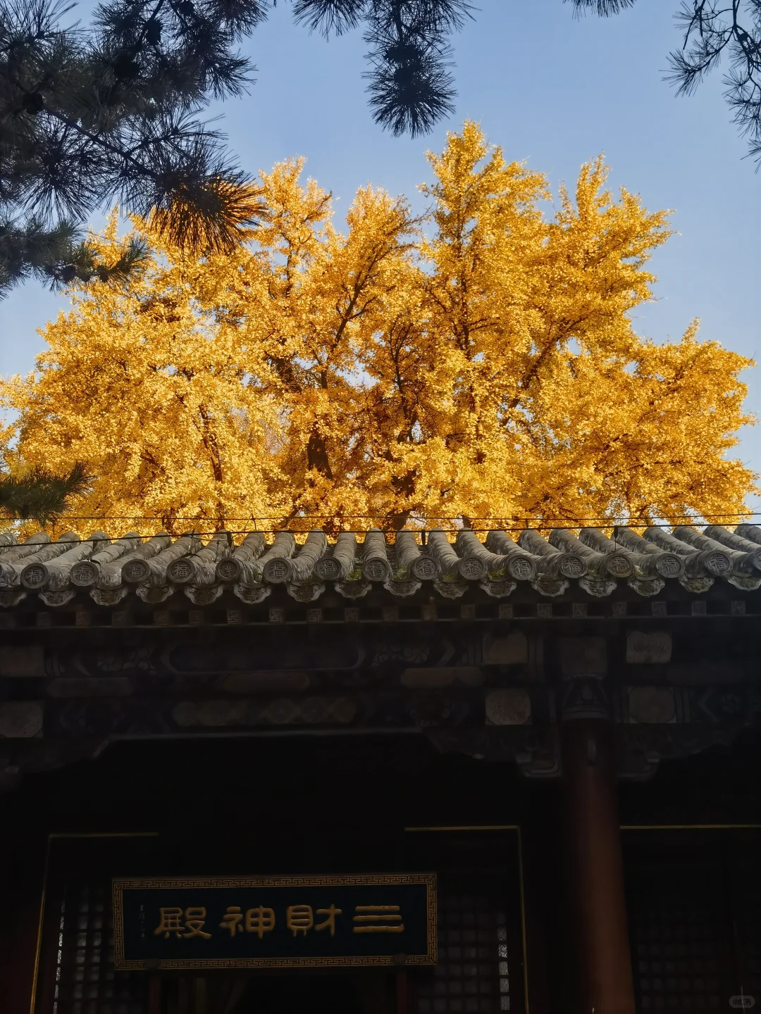 汉赢清酱白酒