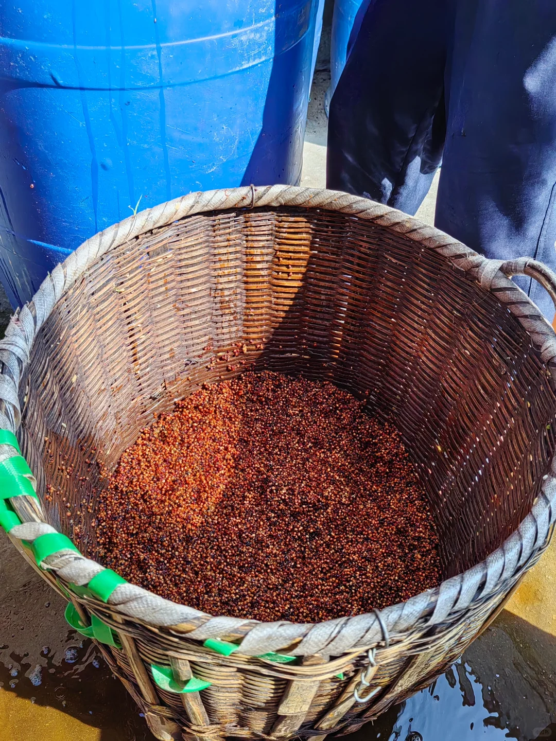 第一次全过程记录家乡的天然手工酿造高粱酒