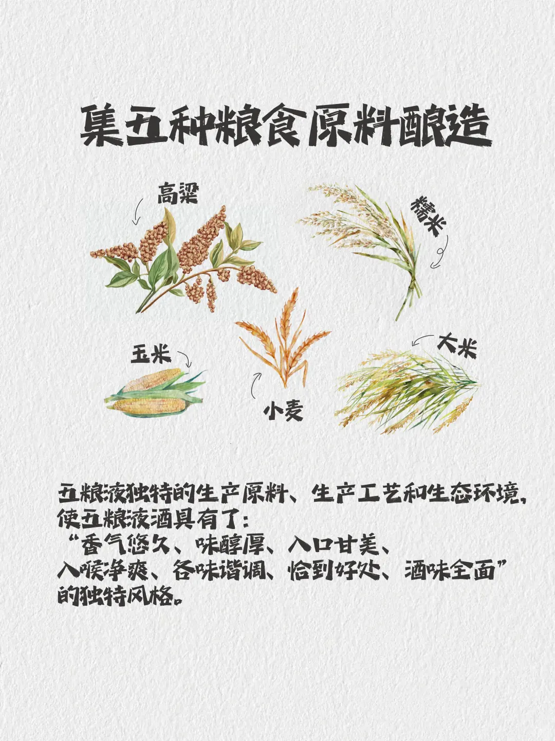 白酒天花板,喝过才懂什么叫“各味谐调”!