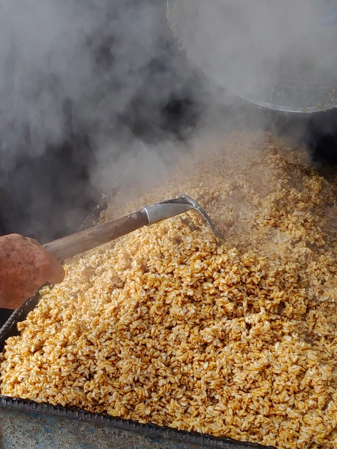第一次全过程记录家乡的天然手工酿造高粱酒