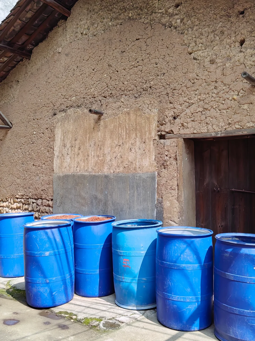 第一次全过程记录家乡的天然手工酿造高粱酒