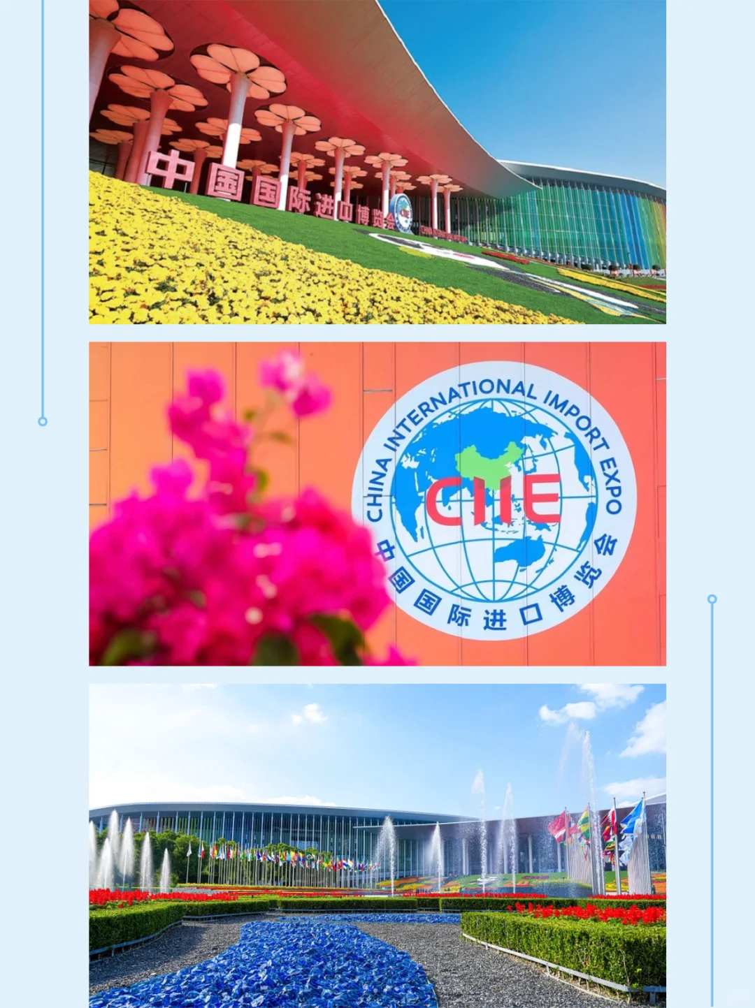 手把手带你逛进博会，速速码住