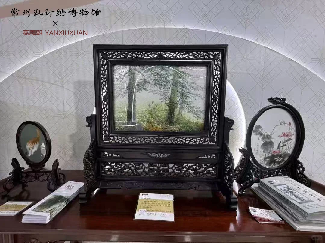 我们带着常州非遗，站在了进博会的舞台