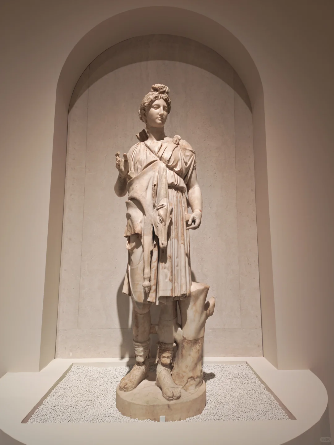 在上海，把罗马讲活～