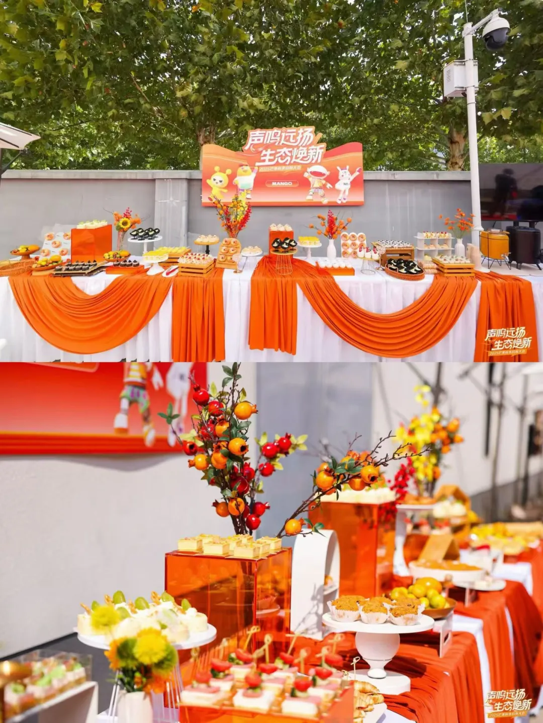 芒果秋季招商会?橙色系甜品台好有氛围感