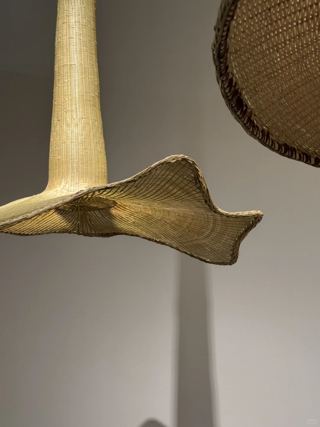 2025上海双年展是把秋天搬进展厅了吧！