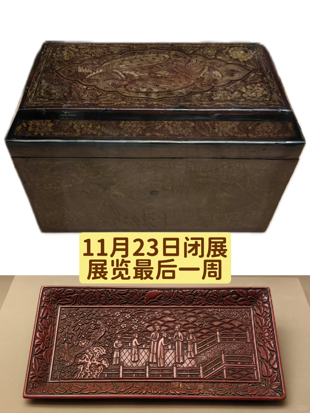 上海博物馆·红翠斗芳菲最后一期