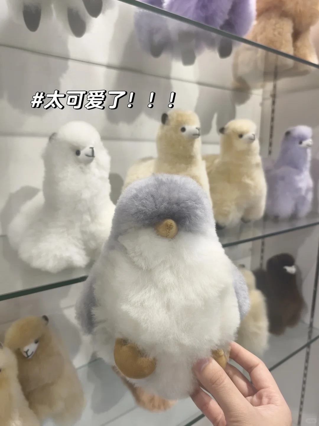 义乌进口展战利品结算!和非洲老板大砍价