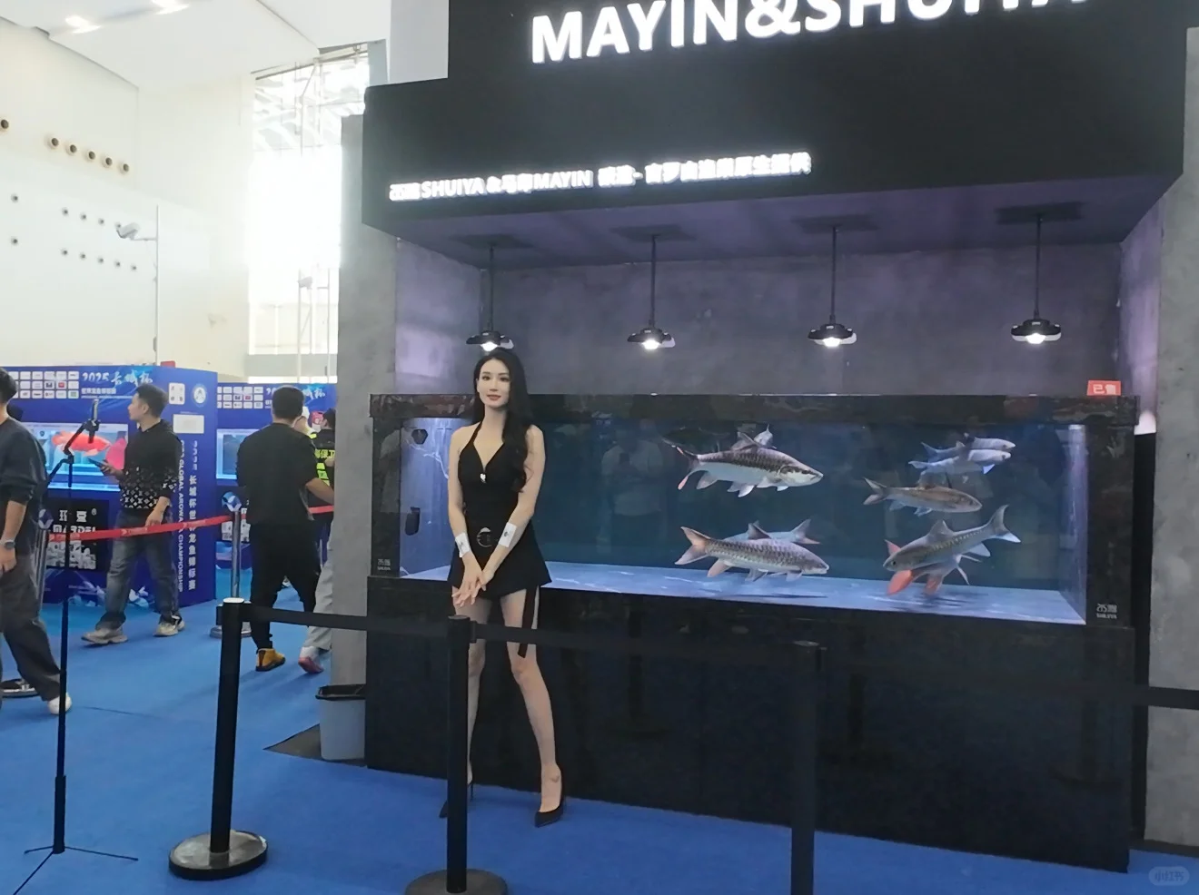 云观展- 2025长城杯