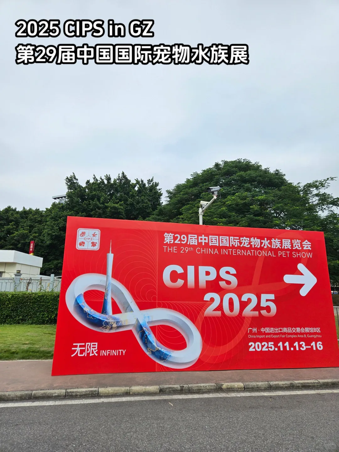 干翻译带薪看宠物！翻译到闭馆后半小时