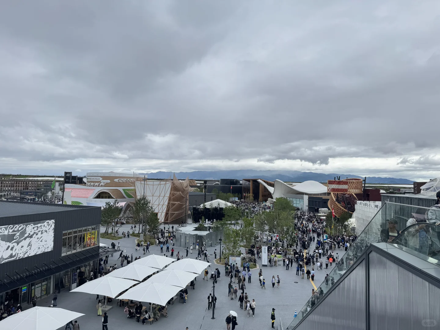 世博会一来一个不吱声