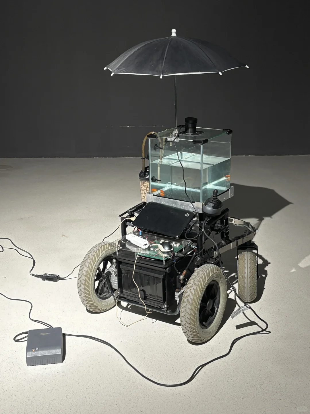 看不懂…笑一下算了