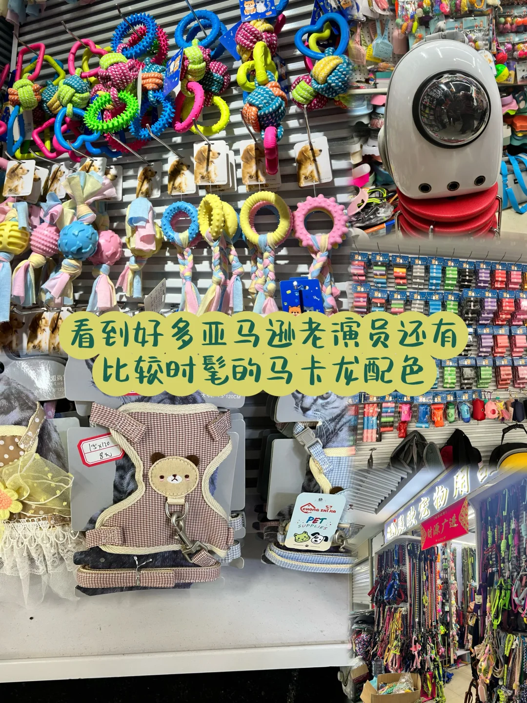 ?搞钱｜北美打工人?️跨境电商之义乌选品