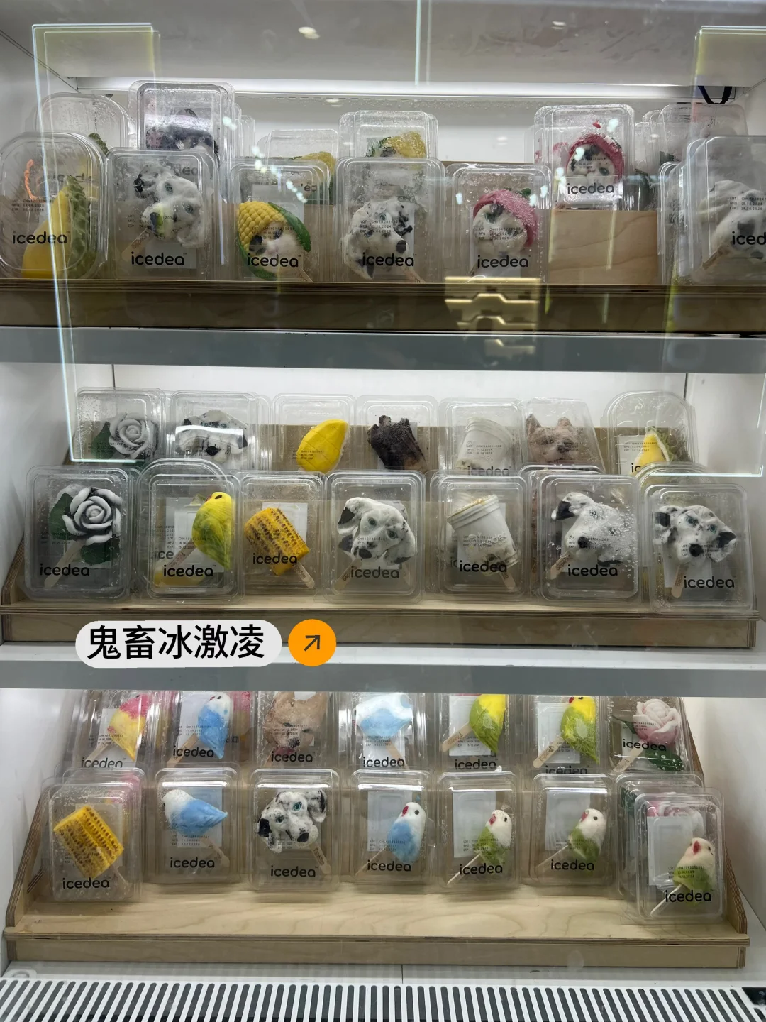 听劝‼️不要轻易去逛食品展,会颠覆你的认知