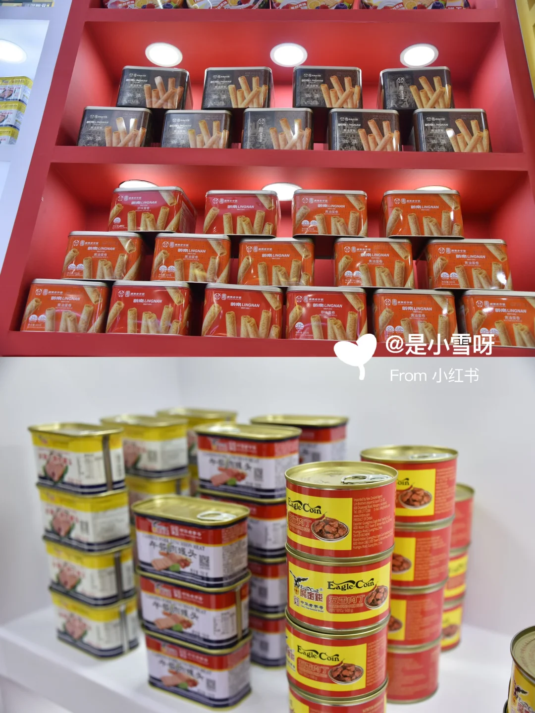 不是豆豉鲮鱼都叫鹰金钱！一饭封神同款！！