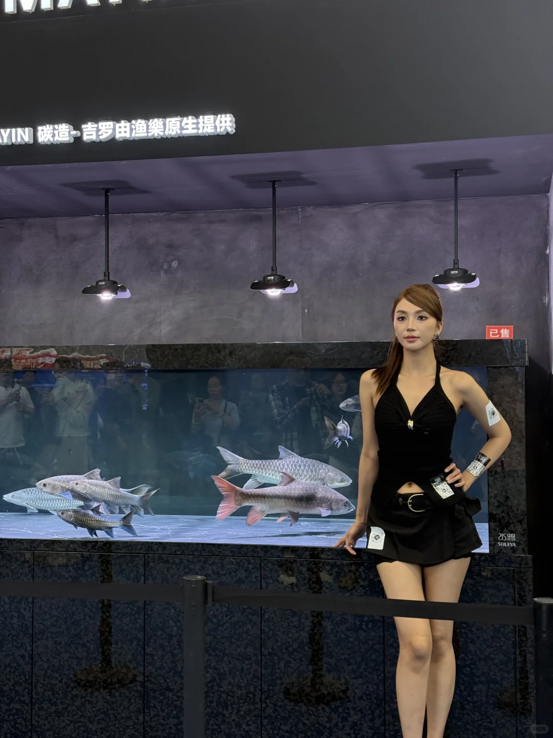 云观展- 2025长城杯