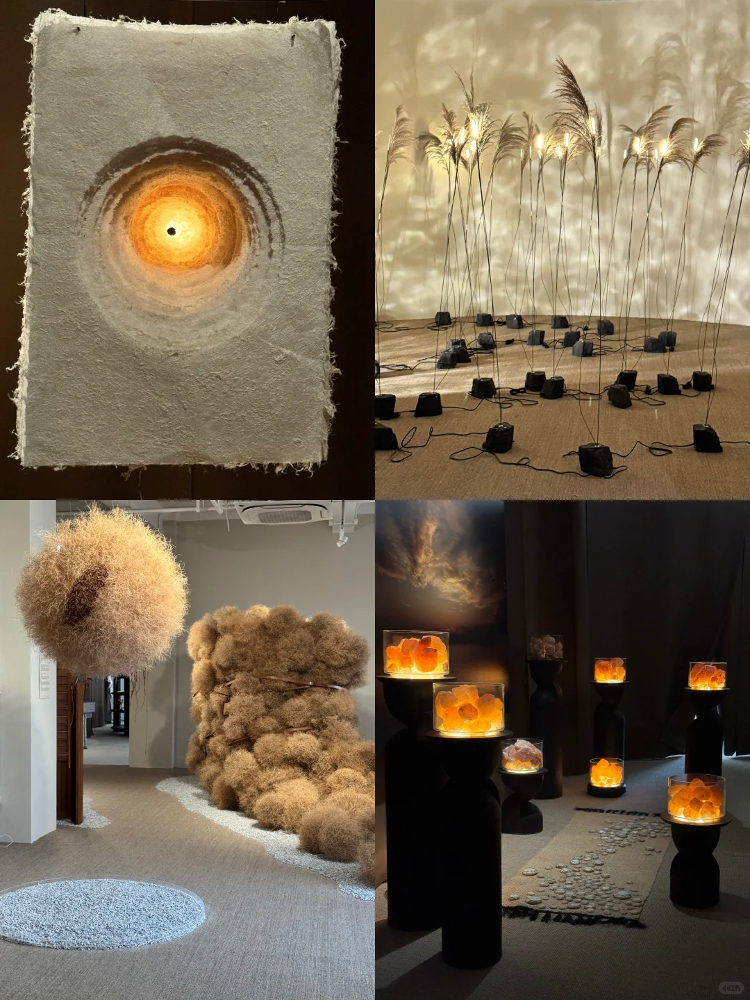 上海外滩这个展也太美了吧?