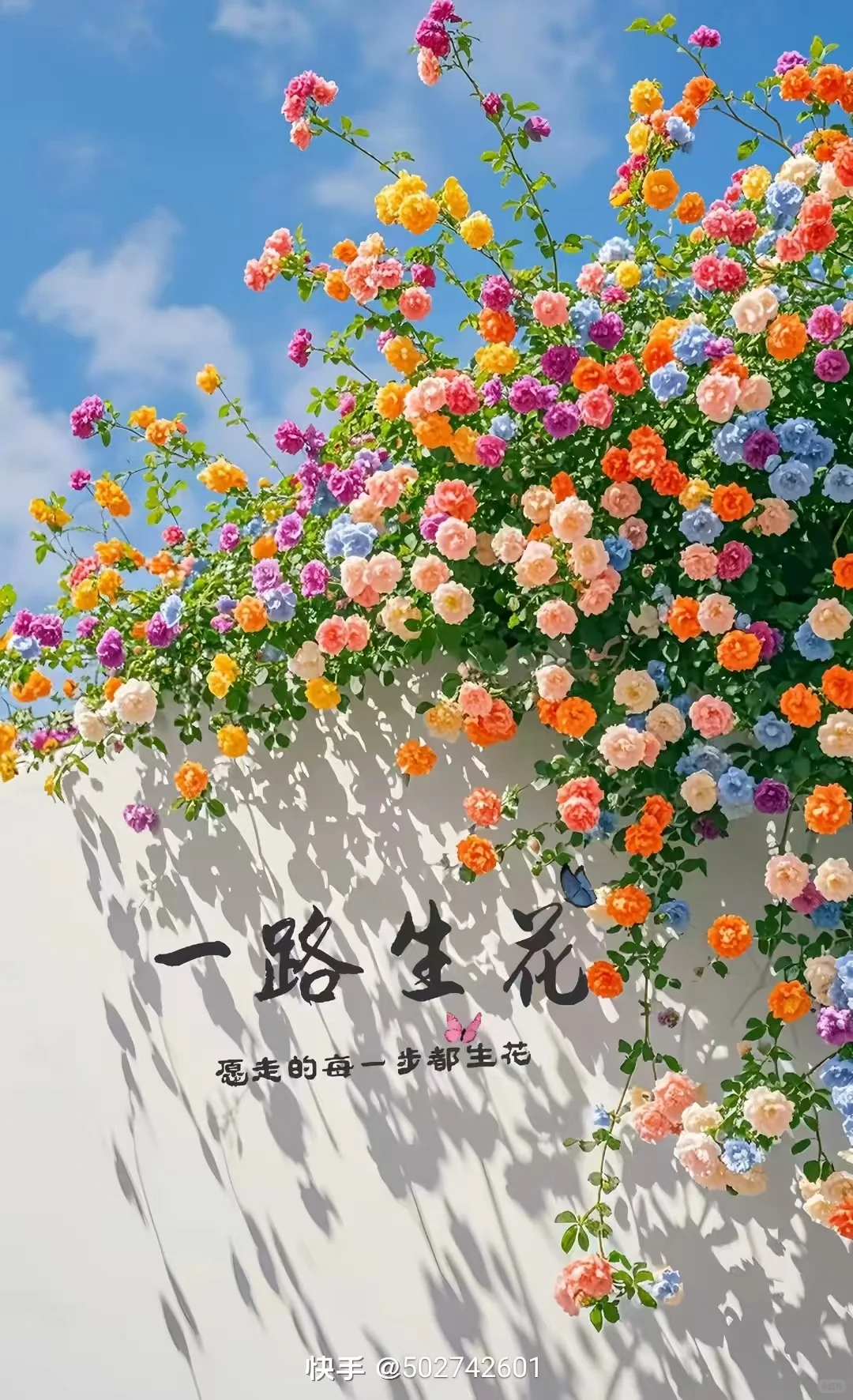 本期测试品类～