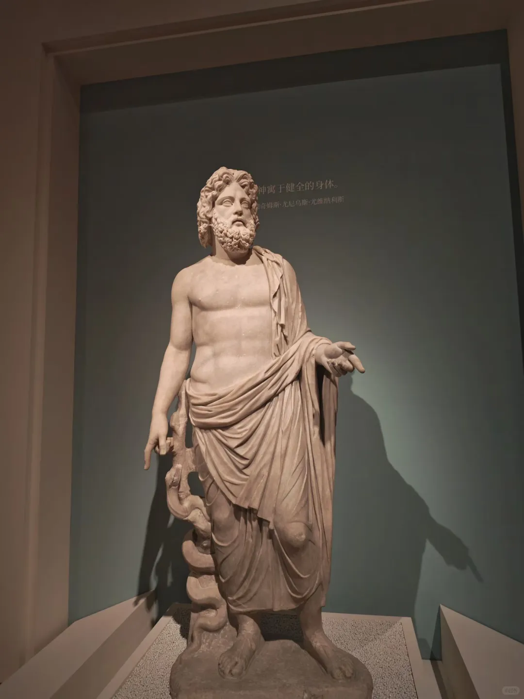 在上海，把罗马讲活～