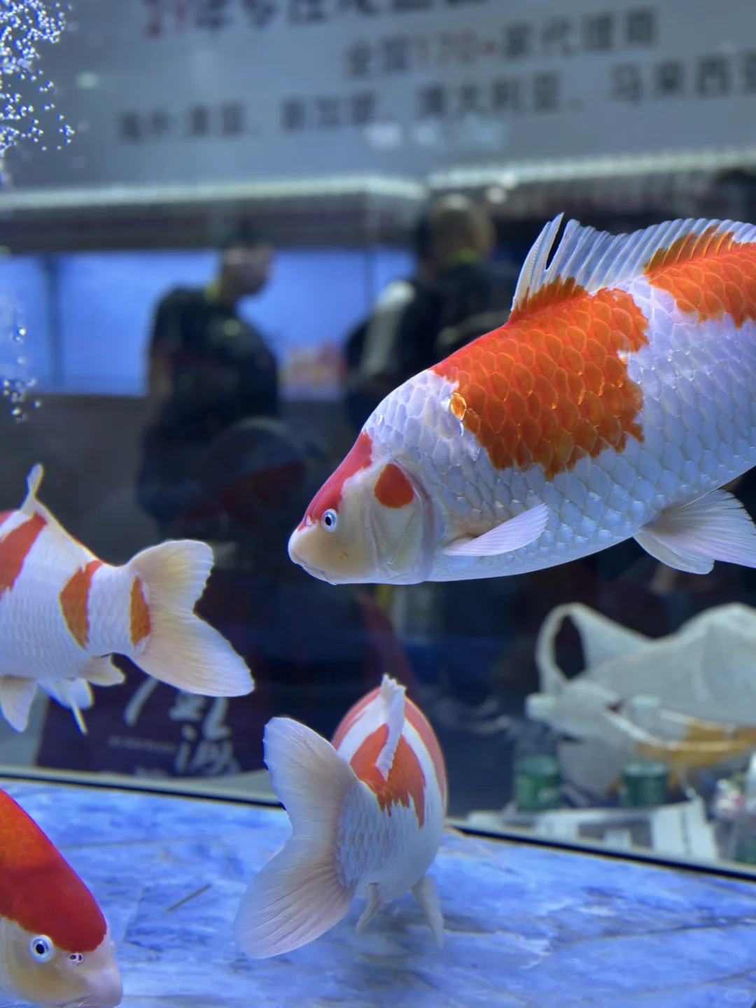 云观展- 2025长城杯