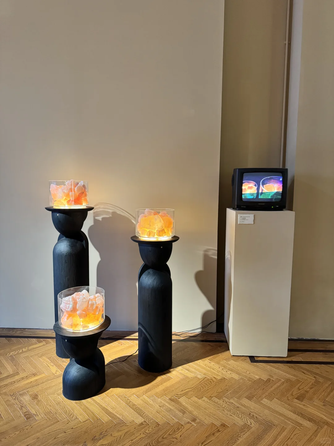 上海外滩这个展也太美了吧?