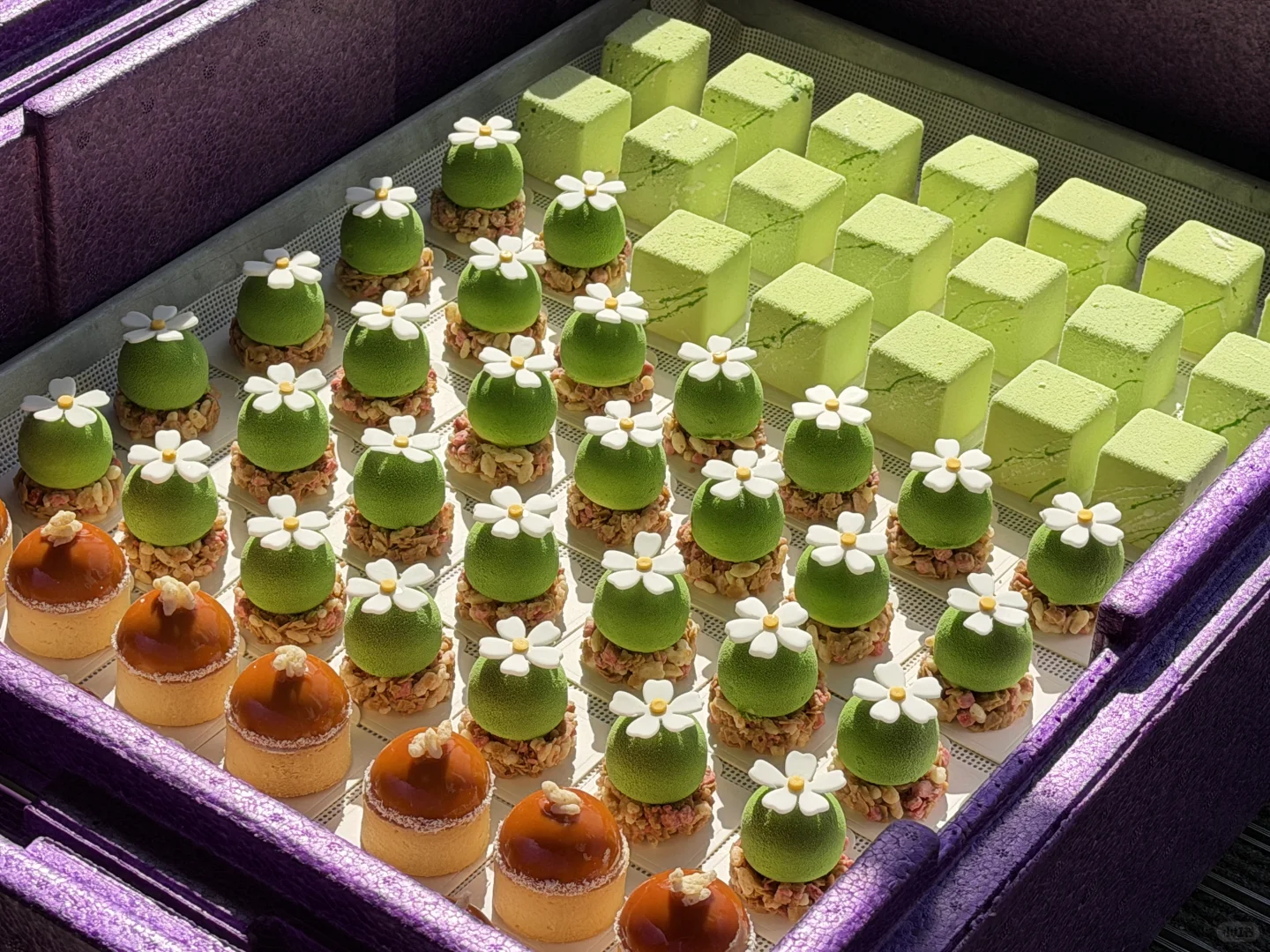 南京茶歇 | 自然光下无需修饰的茶歇单品