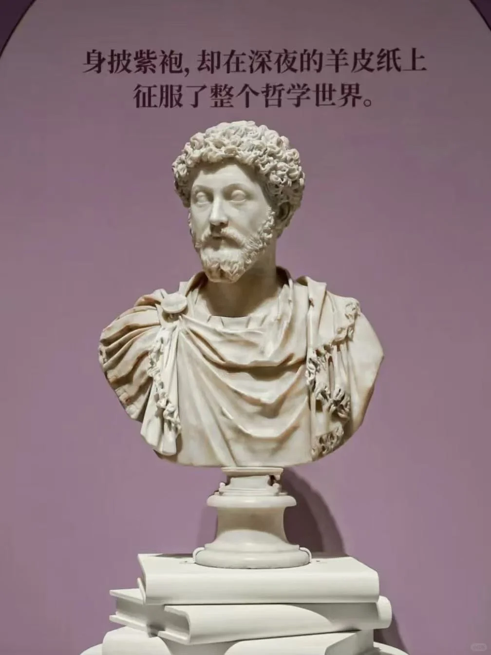 11月遛娃｜上海世博会博物馆罗马罗马展