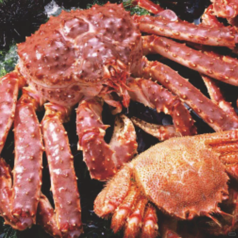 11月21日 台州食材饮料展 福利超多！