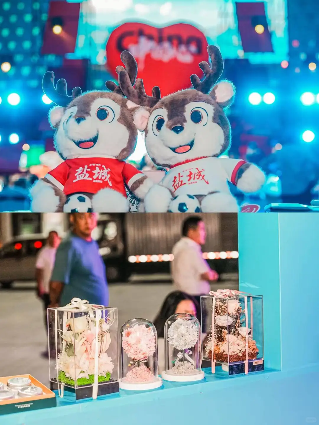 11.22-11.23｜明星空降❗一起看演出❗
