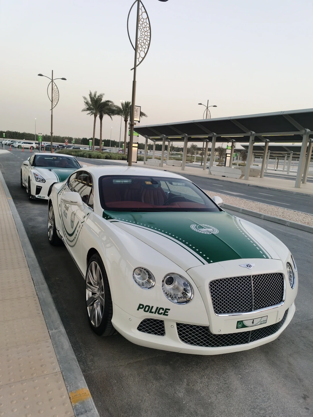 来了就是迪拜人