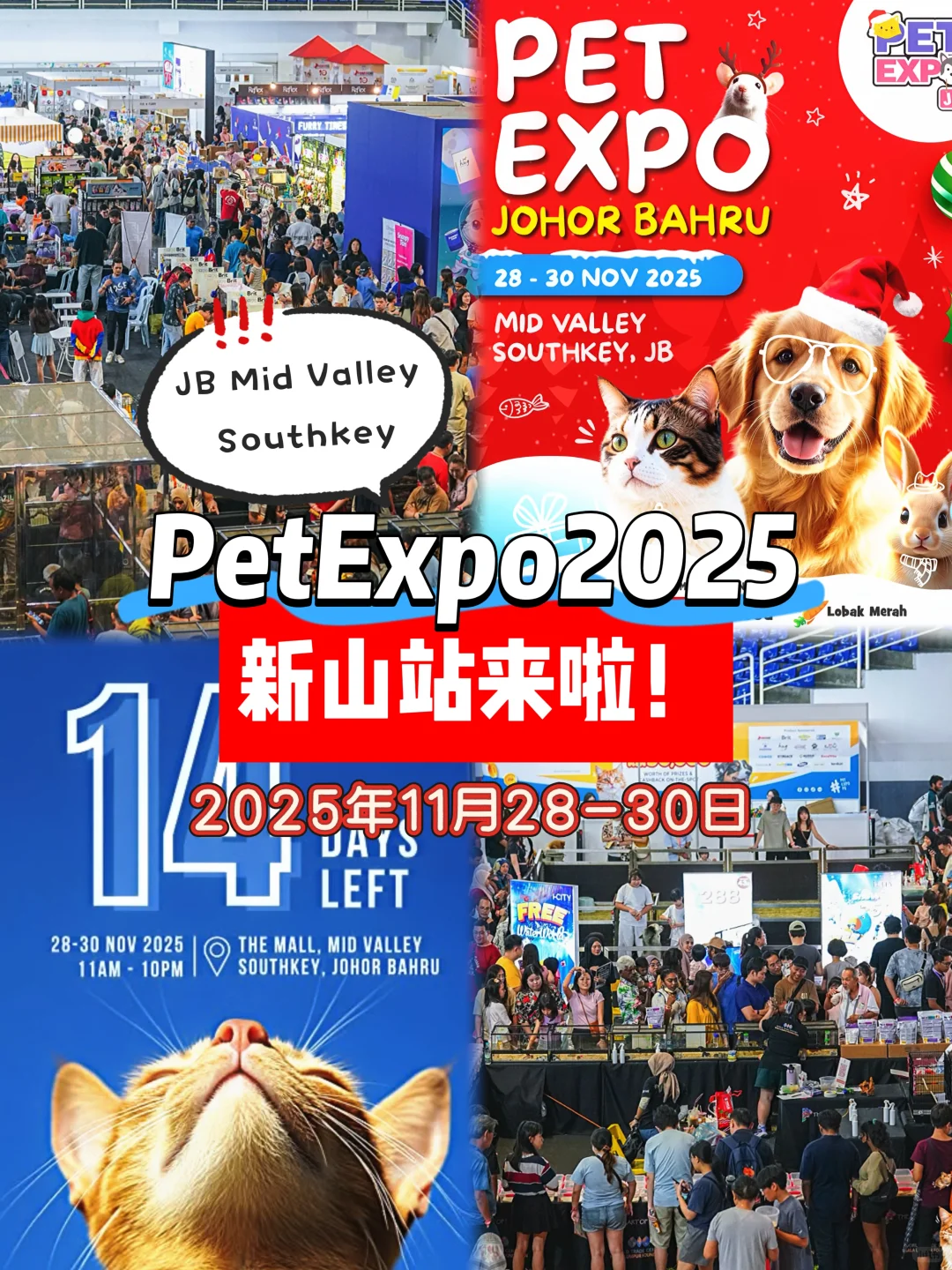 11月宠物展Pet Expo 2025攻占JB新山！???
