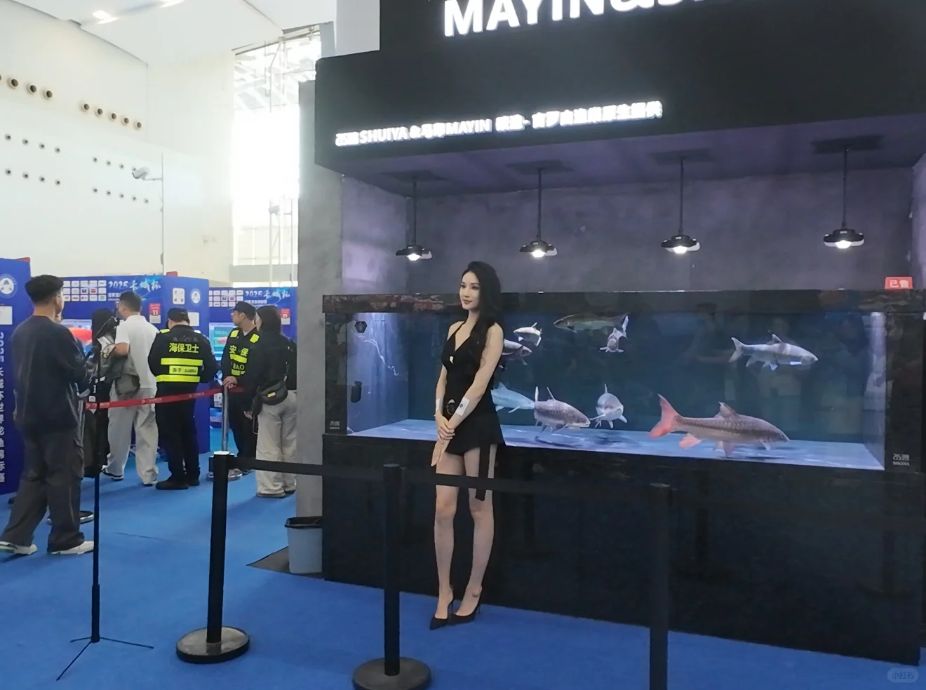 云观展- 2025长城杯