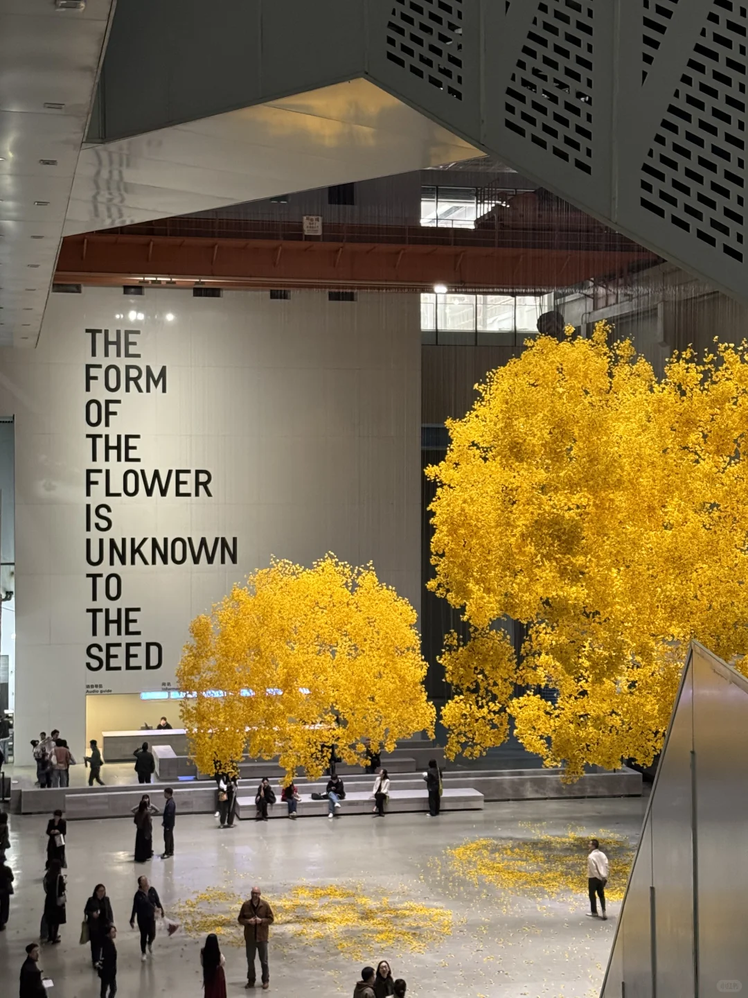 2025上海双年展是把秋天搬进展厅了吧！