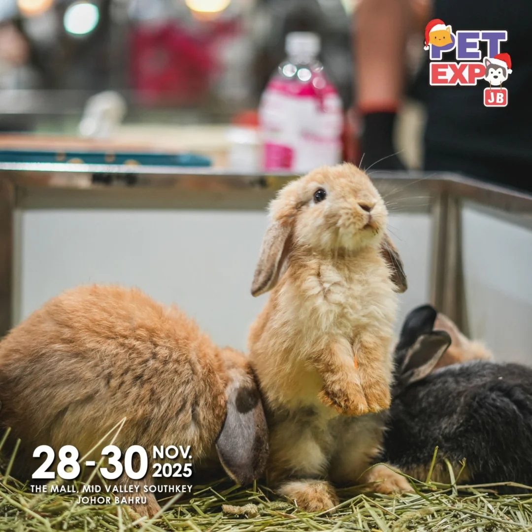 11月宠物展Pet Expo 2025攻占JB新山！???
