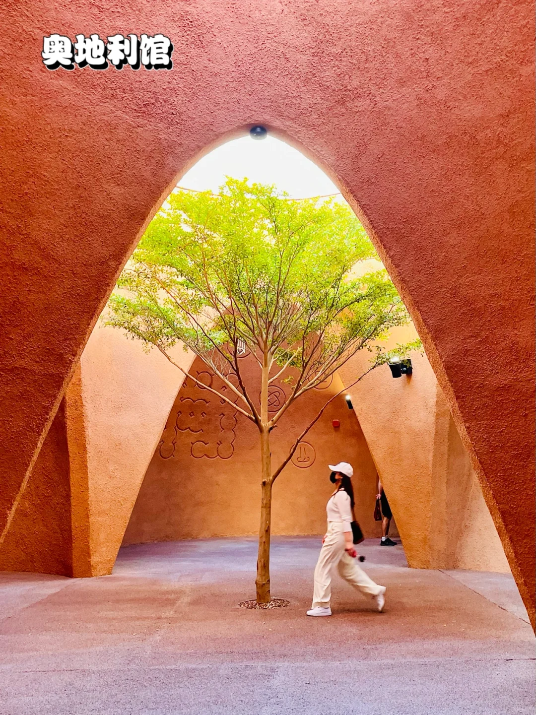 迪拜世博会也太好拍了吧?(一)