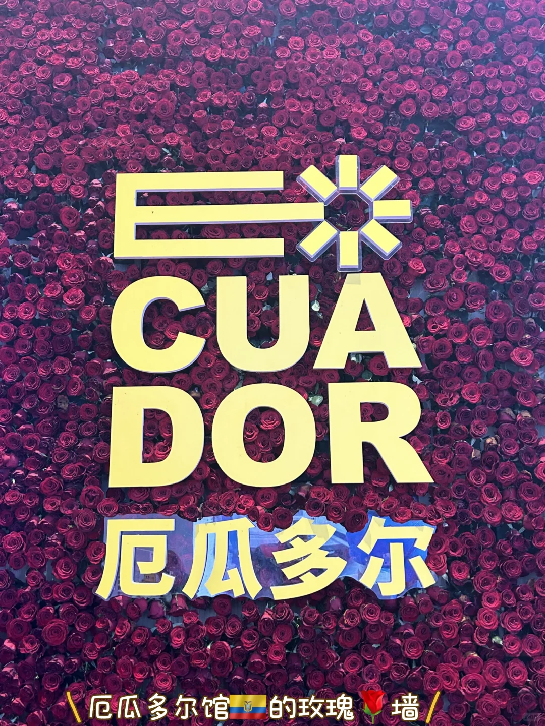 进博会，我们来啦！