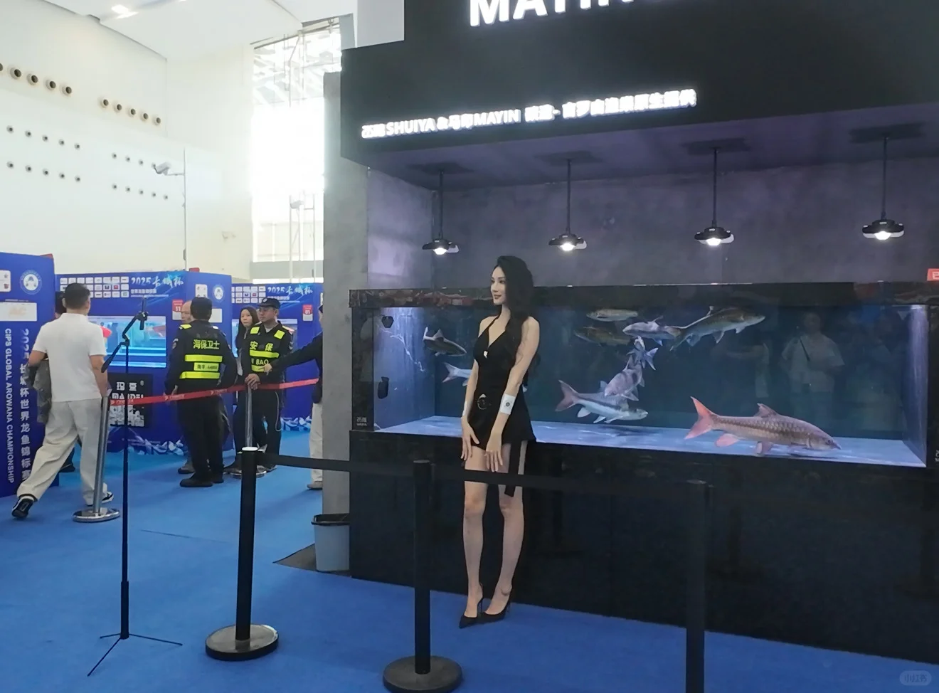 云观展- 2025长城杯