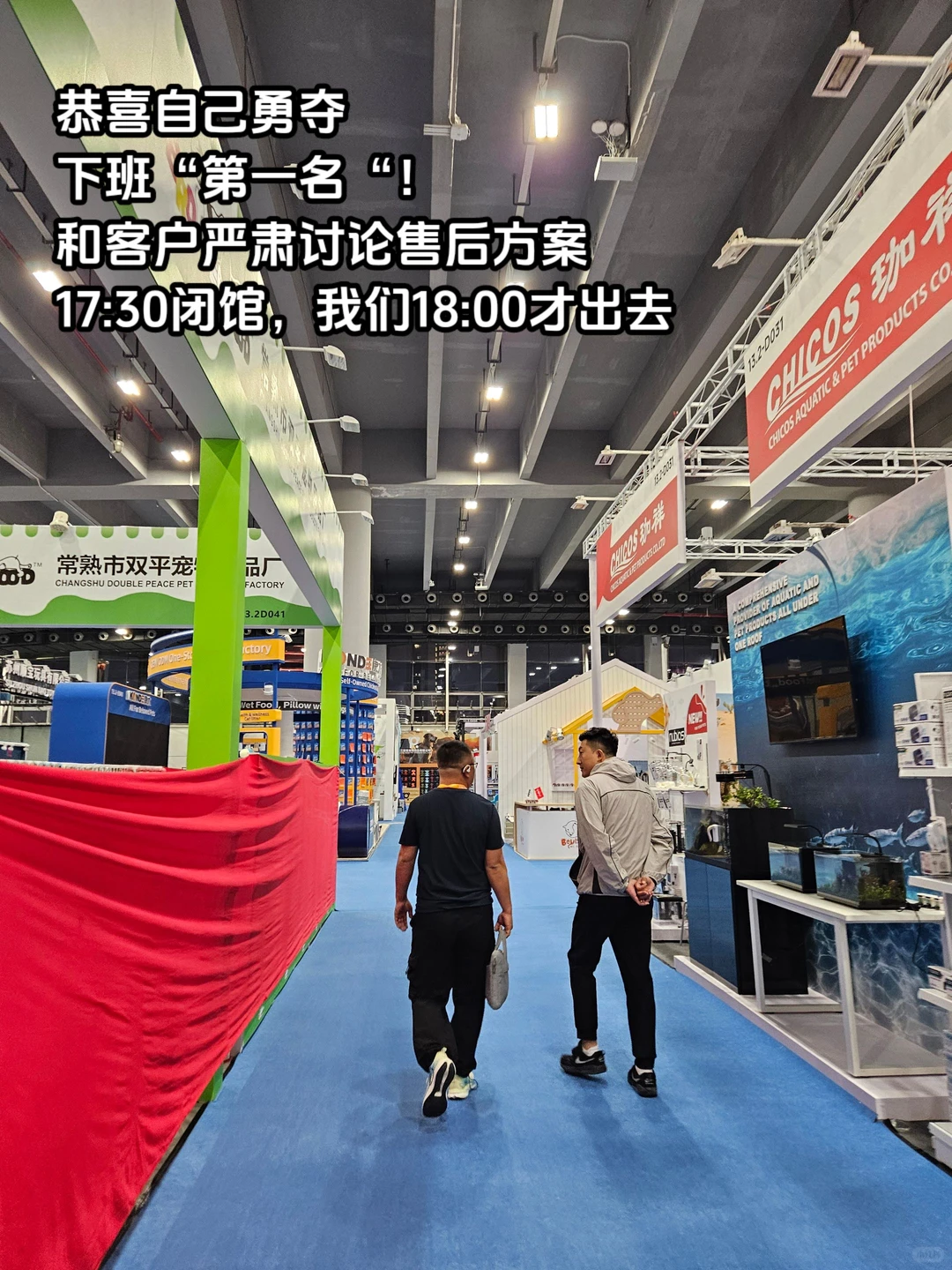 干翻译带薪看宠物！翻译到闭馆后半小时