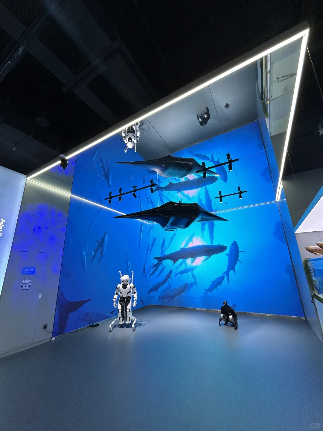 北京遛娃｜亦庄看机器人～小众宝藏地