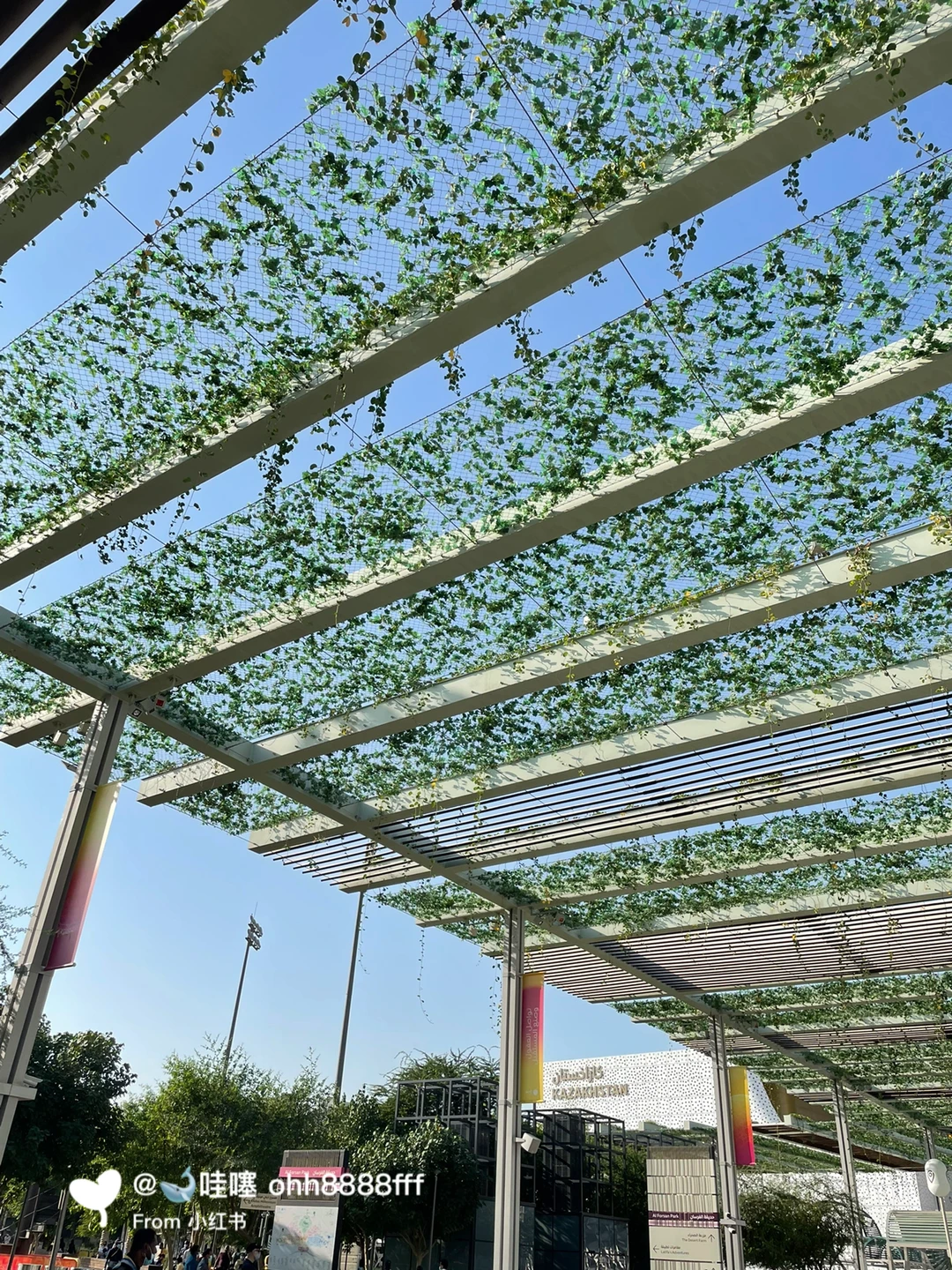 迪拜2022世博打卡