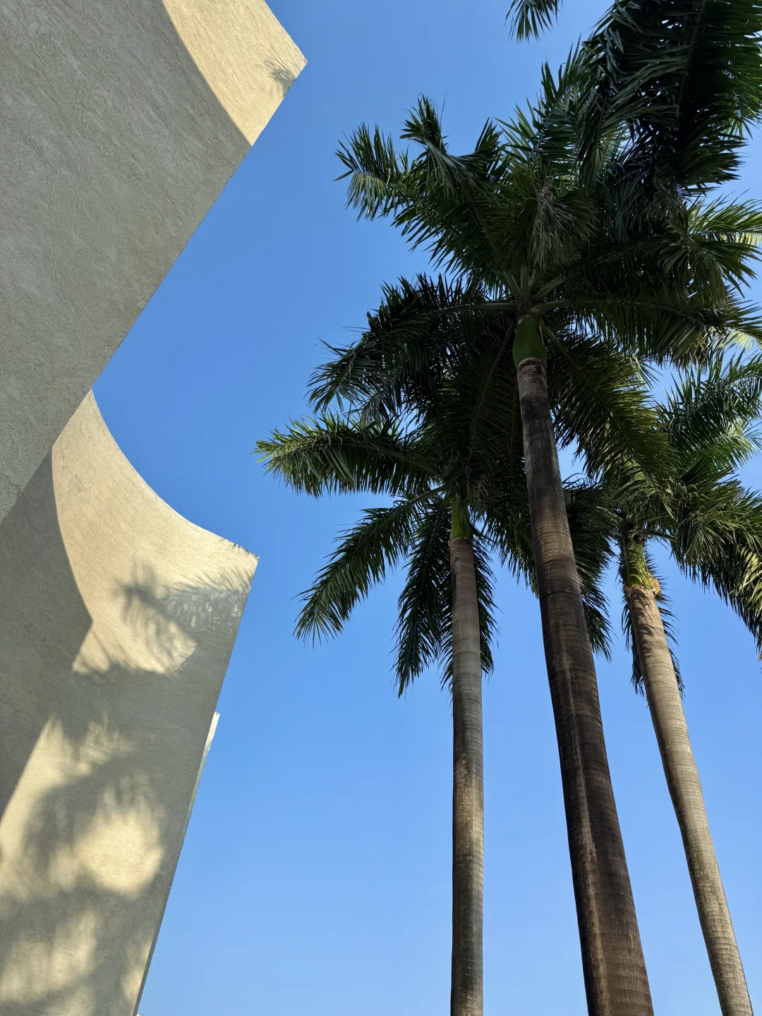 广州新展?天才的对决?西班牙艺术经典之作