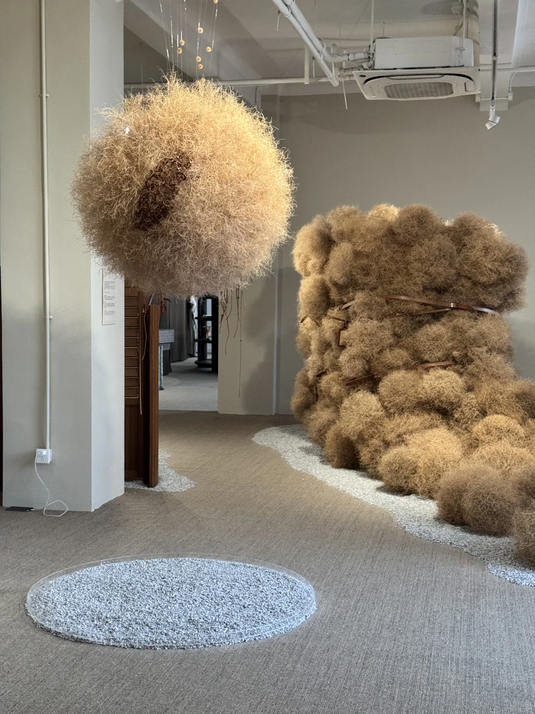 上海外滩这个展也太美了吧?