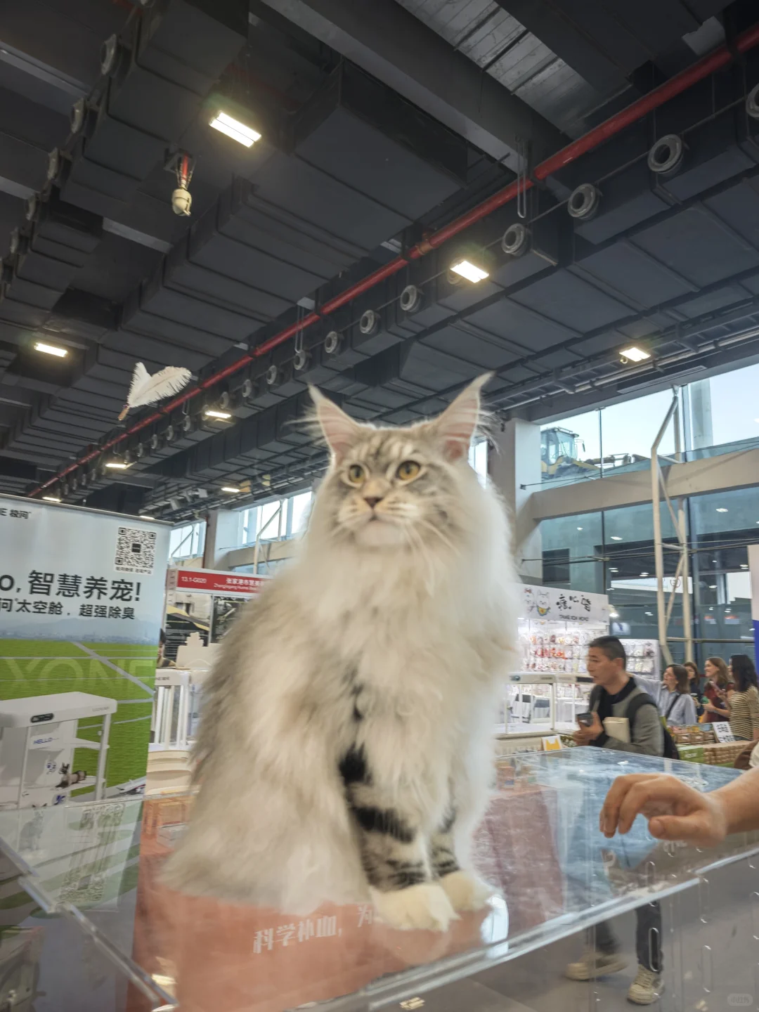 广交会CIPS长城宠物展