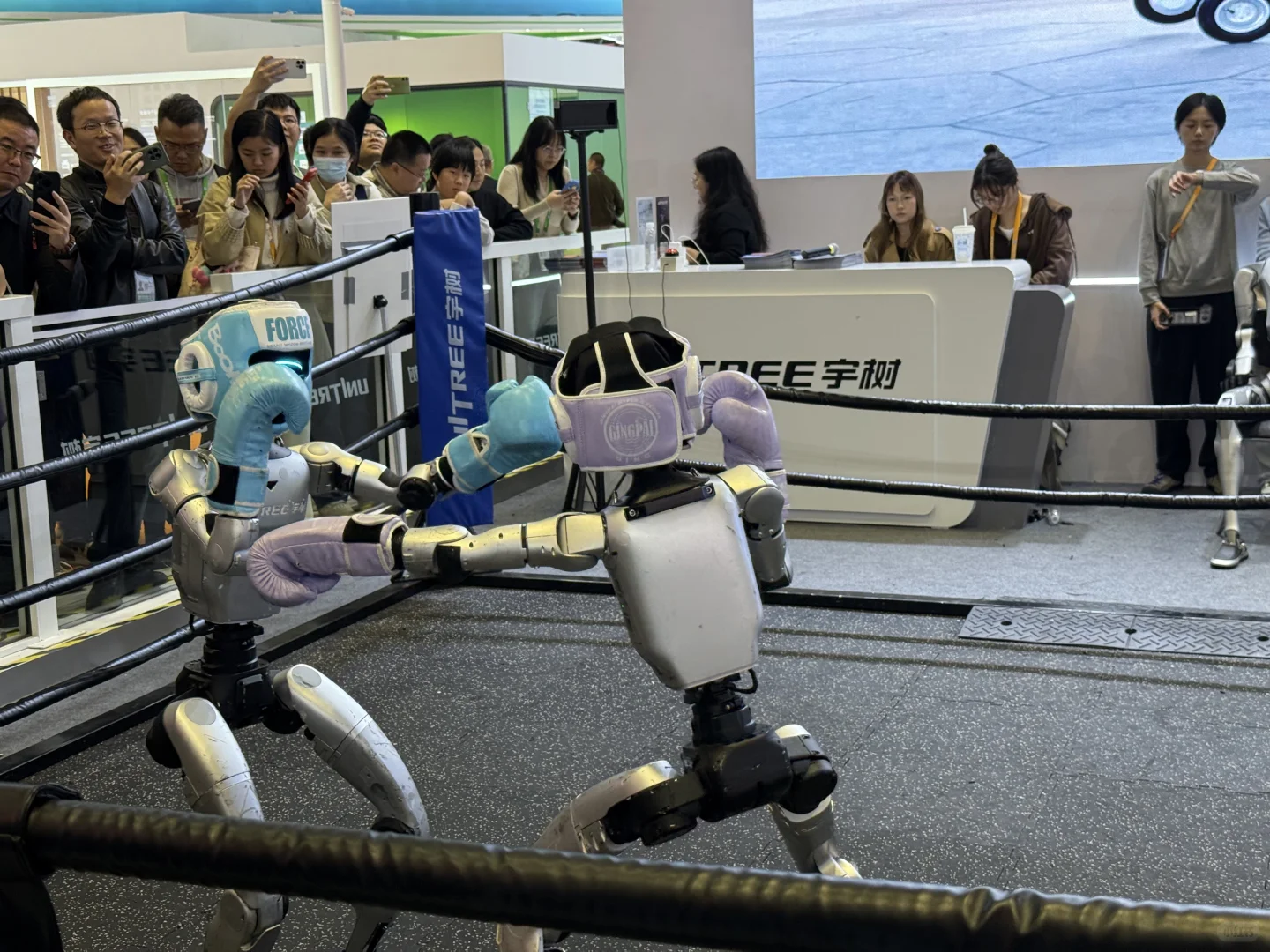 ?2025进博会一日游 | 免费吃喝+科技狂欢?